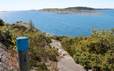Dette skjer p&aring; Bol&aelig;rne-&oslash;yene i p&aring;sken